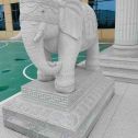 台州 白麻花岗岩动物异形石雕-大象