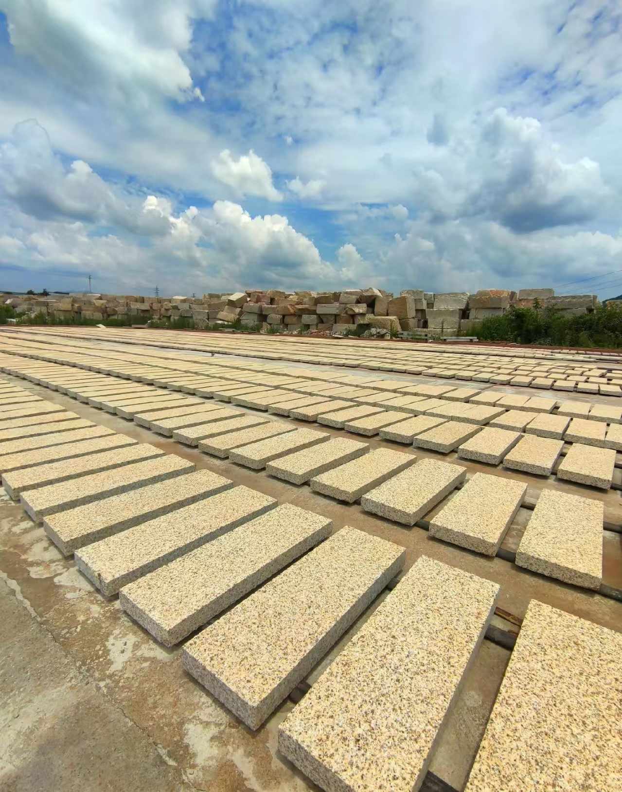台州 黄金麻荔枝面花岗岩石材地铺石防护中