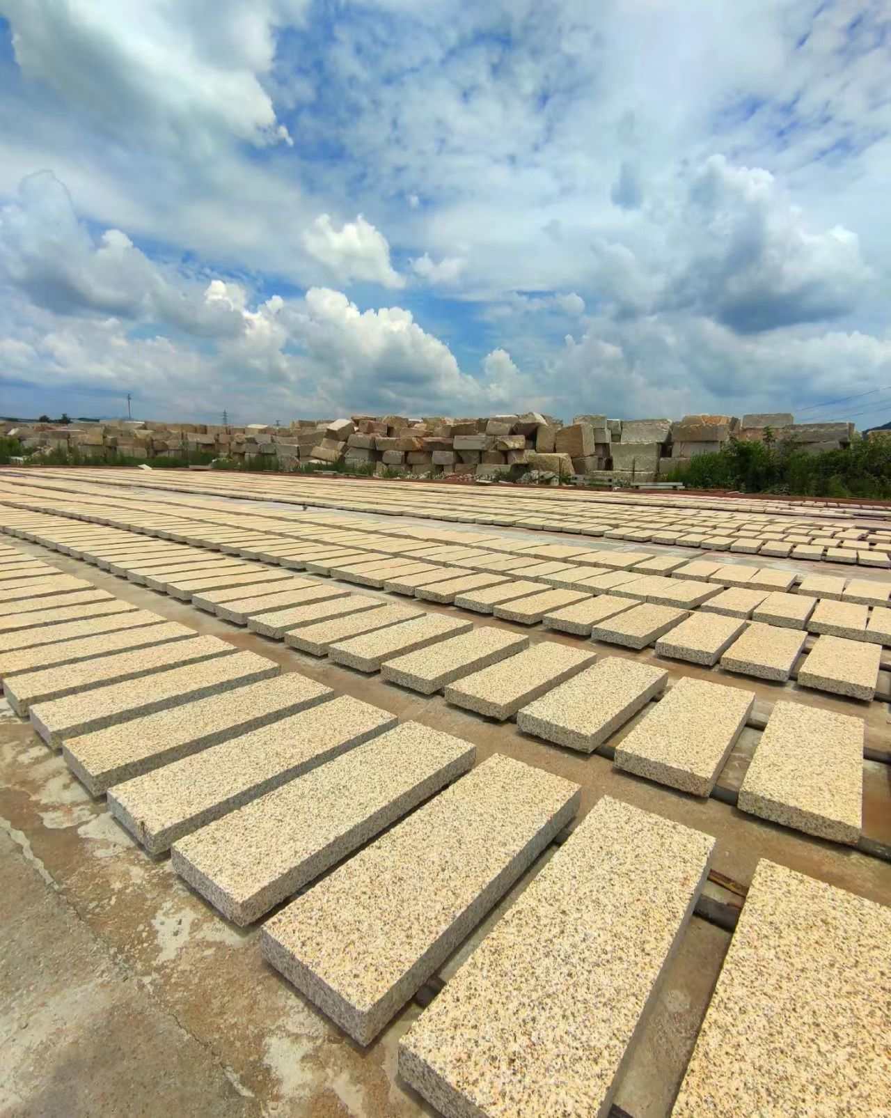 台州 黄金麻花岗岩荔枝面地铺石防护中