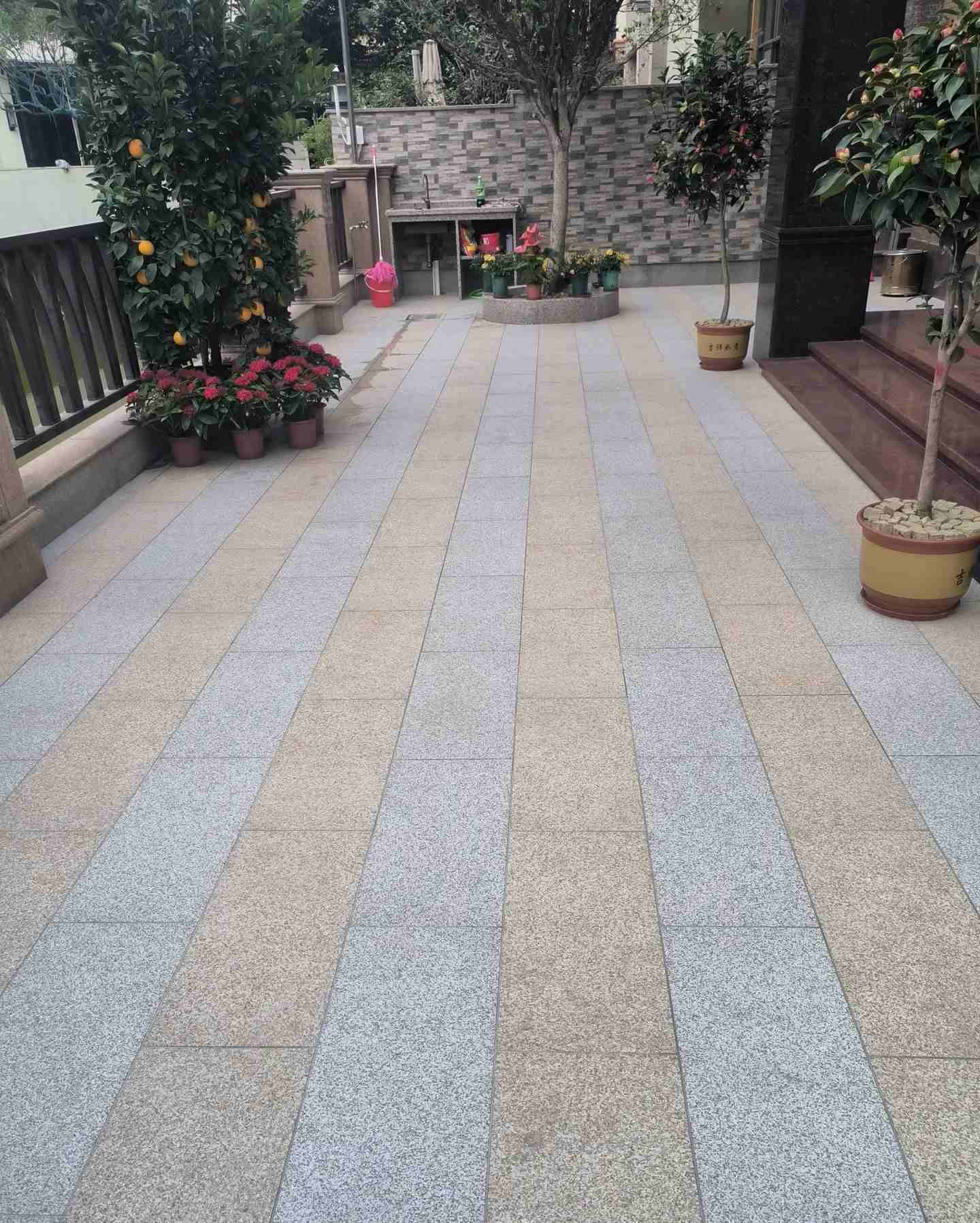 台州 黄金麻白麻荔枝面庭院铺装展示